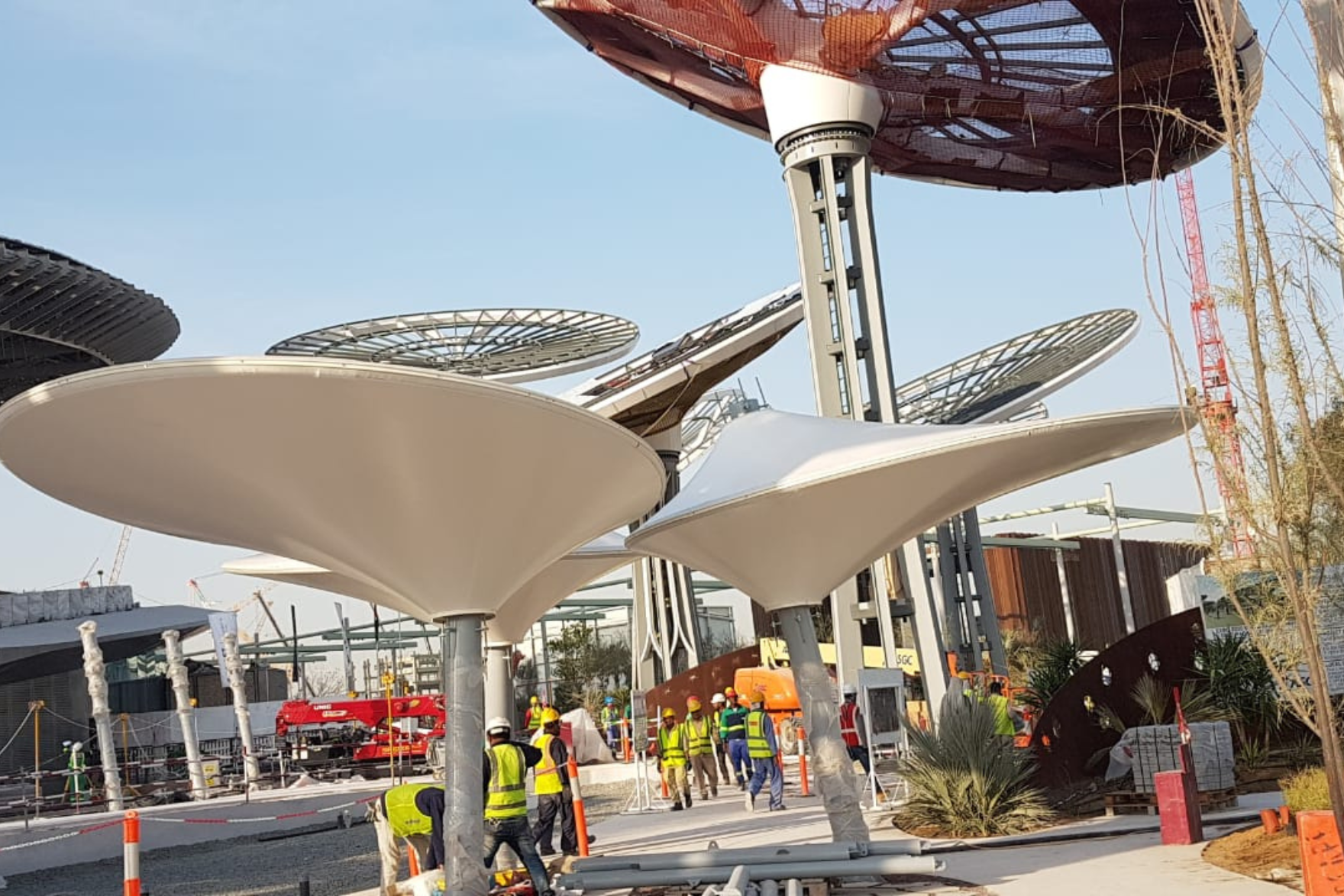 Wave Shade Structure